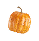 5" Decorative Pumpkin, Orange