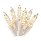 20-Count LED Mini Lights - Battery Operated, White Wire, Warm White