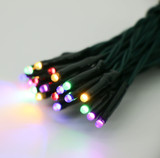 20-Count LED Teeny Lights - Battery Operated, Green Wire, Multicolor