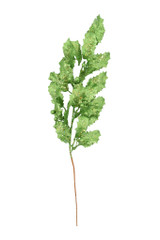 24" Glittered Holly with Berries Spray - Green