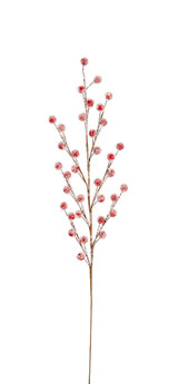 19" Berry Spray - Frosted