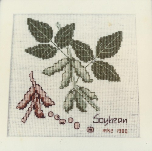 Designs from Redbone Valley SOYBEAN Margaret K Carlson