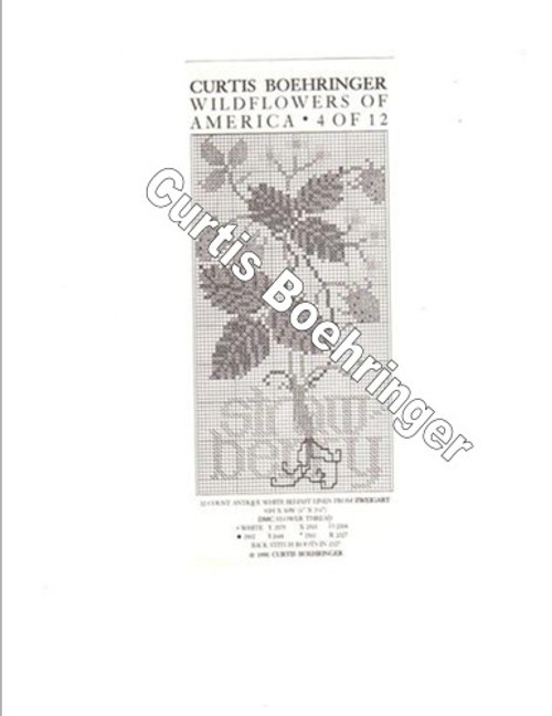 Curtis Boehringer Wildflowers of America Strawberry Cross Stitch Pattern