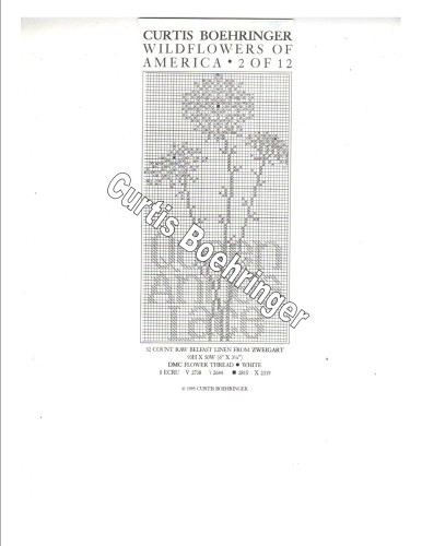 Curtis Boehringer Wildflowers of America Queen Anne's Lace Counted Cross Stitch Pattern