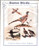 Pegasus Game Birds counted cross stitch chartpack. Stephanie Seabrook Hedgepath. Mourning Dove, Quail, Ring Necked Pheasant