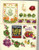 ASN ULTIMATE BOOK OF FRUITS & VEGETABLES Donna Vermilllion Giampa