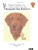 Pegasus Chesapeake Bay Retriever counted cross stitch chartpack. Stitch Count 71W X 88H. Small Chesapeake Bay Retriever stitch count 20h x 36w.