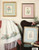 Leisure Arts Day's Delight Counted Cross Stitch Pattern booklet. Book 7. Mary Vincent Bertrand. American wildoflower 1 and 2, Crocus and Iris, Day Lily, Calla Lily, Poppies and Seed Pod, Day's Deilght, Impressive
