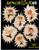 Heritage Series Aerobilinks counted cross stitch booklet. Kidlinks.  Marty Links