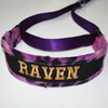 Martingale dog collar with embroidered name. 