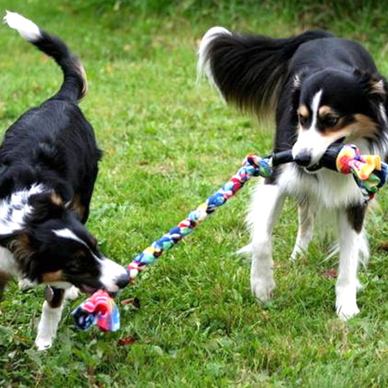fleece tug toys for dogs