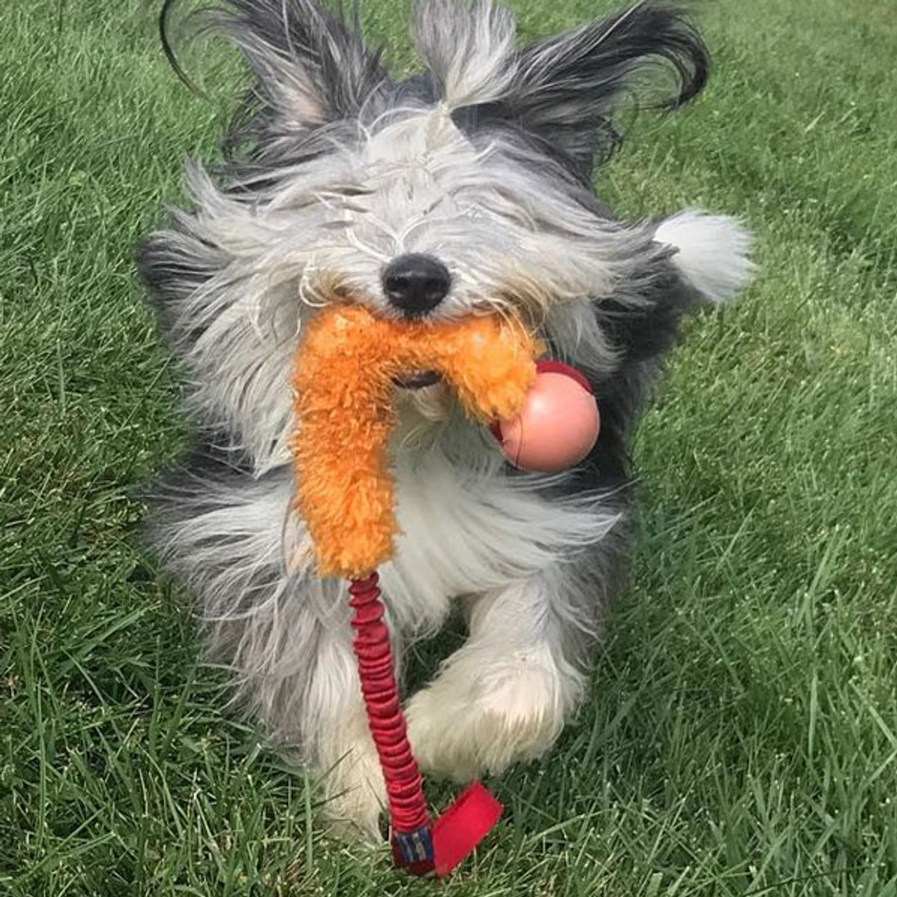 furry ball dog toy