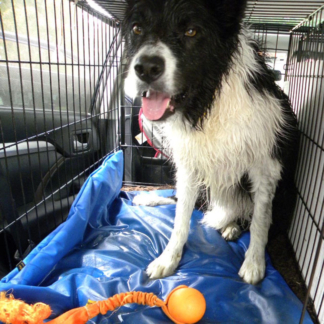 waterproof dog crate bed