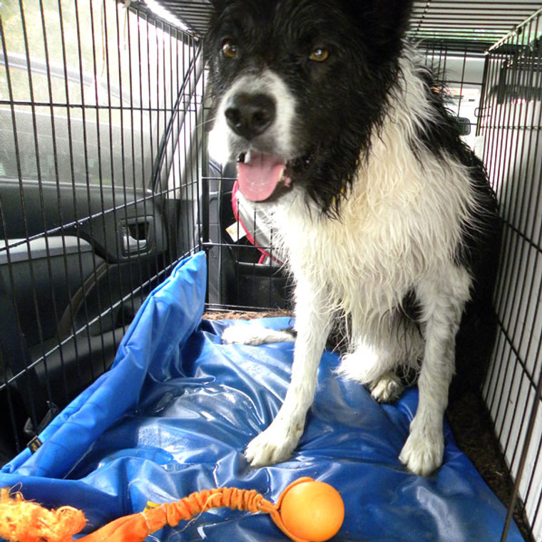 Waterproof pet bed covers keep crate beds dry. 