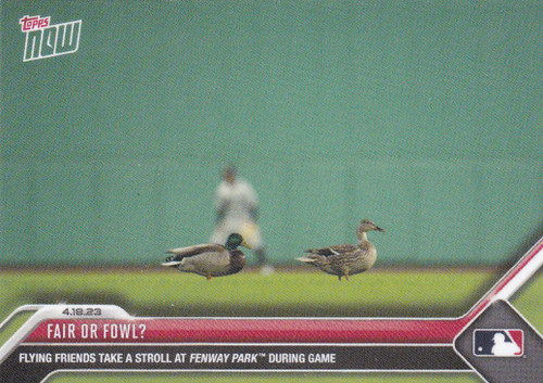 2023 TOPPS NOW #144 FAIR OR FOWL