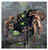 Warhammer: NECRONS: CANOPTEK SPYDER