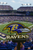 Baltimore Ravens 3D Printed Wall Sign – NFL Logo Decor for Man Cave, Office Dorm