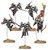 Warhammer: ADEPTA SORORITAS SERAPHIM SQUAD