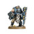 Warhammer: ASTRA MILITARUM BULLGRYNS