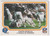 1979 FLEER #15 DENVER BRONCOS A STABLE OF RUNNERS- DENVER BRONCOS