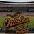 Baltimore Orioles 3D Printed Logo Sign MLB Baseball Fan Cave Wall Art Decor