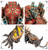 Warhammer: CHAOS SPACE MARINES FORGEFIEND