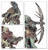 Warhammer: T'AU EMPIRE: KROOT FARSTALKERS
