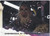 2018 TOPPS #23 CHEWBACCA AT THE CONTROLS STAR WARS- SOLO STAR WARS