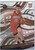 2021-22 REVOLUTION #149 ALPEREN SENGUN ASTRO- HOUSTON ROCKETS
