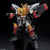 RG GAOGAIGAR