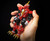 GSC GATTAI RYUJIN DX DYNAZENON