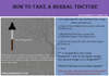 KIDNEY CLEANSE/REVITALIZER