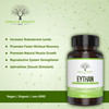 EYTHAN (MALE SUPPORT)