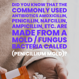 ANTIBIOTICS = MOLD/FUNGUS 