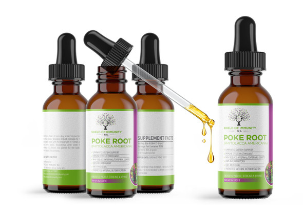 POKE ROOT TINCTURE POKE ROOT TINCTURE