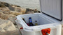 Insulated Cooler