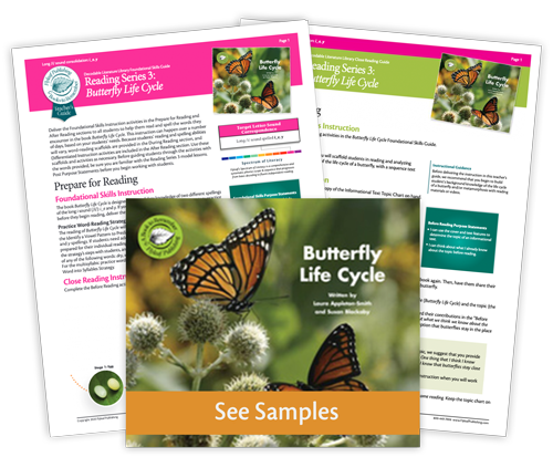 Butterfly Life Cycle Samples