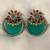 Colorful round earrings.    FAS00186