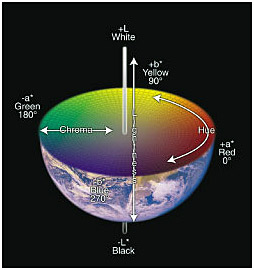 Color Adjustements