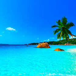 caribbean-blue-cropped.jpg