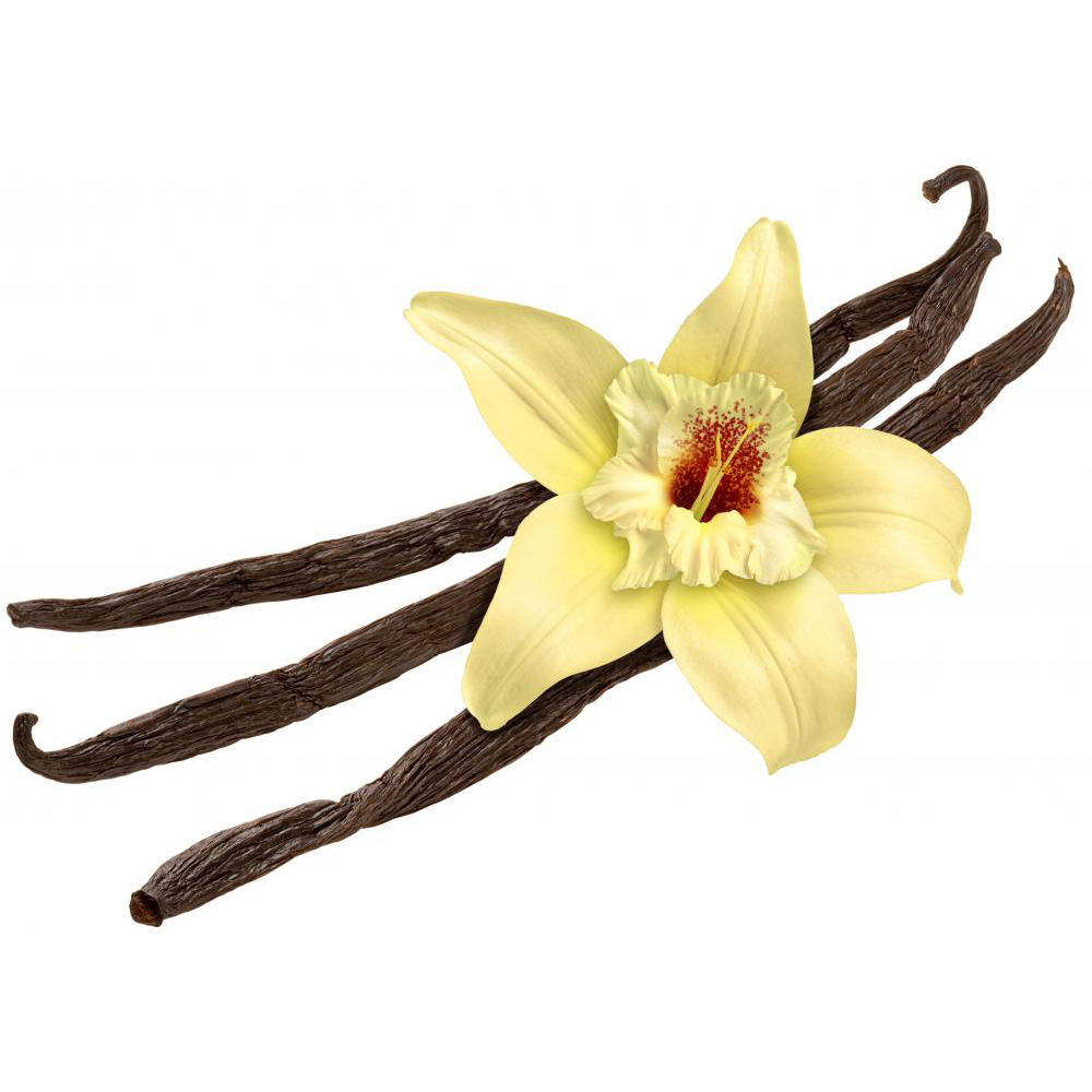 vanilla-bean-flower.jpg