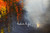 Side view and signature detail - gallery wrapped canvas 1.5" deep, varnished smooth finish, signed original by Andrada Anghel - Autumn on Fire 48W x 40H ready to hang