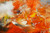 Autumn on Fire