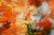 Autumn on Fire