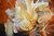 Bold Legacy diptych detail - earth tones beige cream with warm multicolor brushwork two panel close up