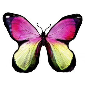 Balloon Foil 79cm Monarch Butterfly Jumbo Multi Coloured Balloon Foil 79cm Monarch Butterfly Jumbo Multi Coloured