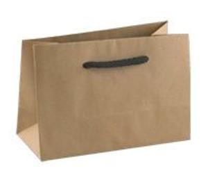 Bag Brown Mini Deluxe Kraft Ea