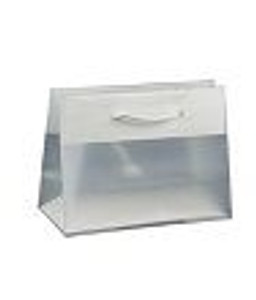 Bag Mini Boutique Frosted Each