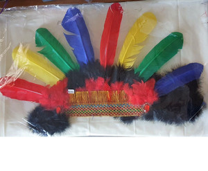 Headdress Indian Brave Coloure