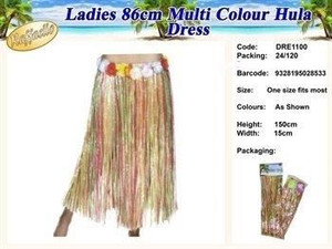 Costume Adult Hula Skirt Multicolour Costume Adult Hula Skirt Multicolour